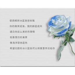 鮮花情 密西根碎冰藍漸變玫瑰花束·9朵