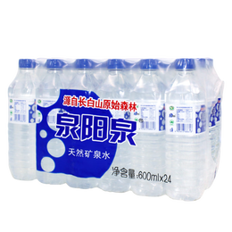QUANYANGQUAN 泉陽(yáng)泉 長(zhǎng)白山天然礦泉水 600mL 24瓶