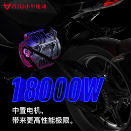 Niu Technologies 小牛電動(dòng) RQI 電動(dòng)摩托車(chē) ABS動(dòng)力版