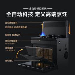 米家小米智能蒸烤一体集成灶P1家用蒸箱烤箱烟灶一体70L大容量蒸烤炸三合一(天然气)JJZT-MJCO2M220V