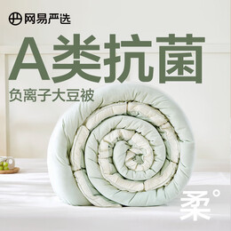 春煥新、家裝季：YANXUAN 網(wǎng)易嚴(yán)選 果凍夏涼被 山茶綠 200*230cm