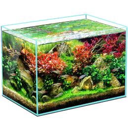 yee 意牌 魚缸金晶超白魚缸客廳桌面小魚缸玻璃草缸龜缸家用小型生態(tài)金魚缸 300*170*200