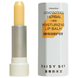 DAISY SKY 雛菊的天空 唇部修護(hù)唇膏舒緩保濕滋潤(rùn)唇部護(hù)理秋冬打底潤(rùn)唇膏 桂影+桂影唇膏
