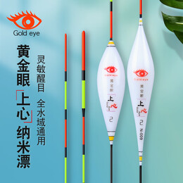 黃金眼 2021新品池海黃金眼魚漂官方納米浮漂鯉鯽魚漂加粗醒目漂高靈敏 黃金眼 上心 N-008(三目加粗尾) 1號一支