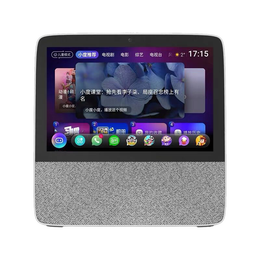 小度 智能屏X8 带屏智能音箱8英寸高清影音娱乐智慧屏小杜在家触屏wifi蓝牙音响家用百度机器人助手 小度在家智能屏X8 灰色 【官方标配】【全国联保】