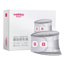 维德（WELLDAY）医用护腰带腰间盘突出支撑透气腰肌劳损腰托护腰L码WP01E