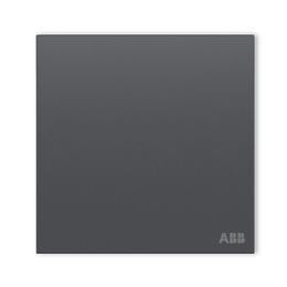 PLUS會(huì)員：ABB 盈致系列 灰色 單開雙控