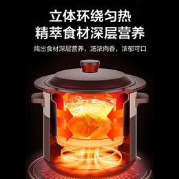 美的（Midea）电炖锅 电炖盅煲汤锅炖汤锅 煲药电砂锅煮粥锅紫砂内胆煮锅 4升煲汤电炖锅家用智能预约保温养生锅 【紫陶内胆 MD-WTGS401】 4L