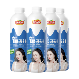 欢乐家 大瓶椰子汁 果肉型植物蛋白饮料 椰奶椰汁饮品 宴席聚餐 【4瓶】椰子汁1L*4瓶
