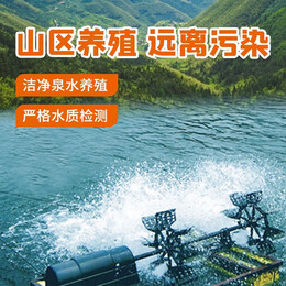 三都港 蒲烧鳗鱼段净重300g新鲜河鳗活鳗鱼烤制加热即食网红鳗鱼饭食材 蒲烧鳗鱼段净重300g