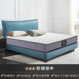DeRUCCI 慕思 de RUCCI）床墊 乳膠床墊席夢(mèng)思床墊彈簧雙人主臥床墊 靜音獨(dú)立筒彈簧+25cm+MCW1-022 1500*2000