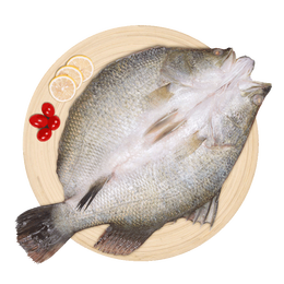 仙泉湖 三去尖吻海鱸魚(yú) 500g