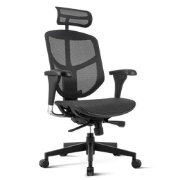 Ergonor 保友辦公家具 金卓系列 人體工學(xué)電腦椅 黑色 鋁合金腳