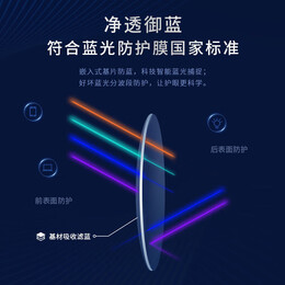 依视路（ESSILOR）钻晶膜御系列非球面防蓝光薄镜片近视眼镜配镜 现片2片装 1.56钻晶膜御防蓝光+明治镜框
