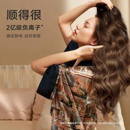 徠芬 Laifen 七夕情人節(jié)禮物 新一代家用大功率高速吹風(fēng)機(jī)負(fù)離子大風(fēng)力速干低噪音吹風(fēng)筒 萊芬 LF03閃銀