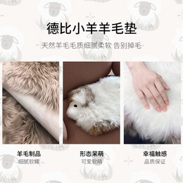 爆賣年貨、再降價(jià)：AUSGOLDENMIX 德比小羊毛坐墊 白咖色