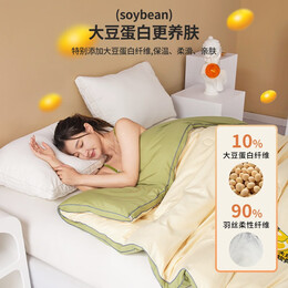 寒潮來(lái)了：圣希德 A類大豆纖維加厚棉被 立體邊-抹茶綠 150*200cm