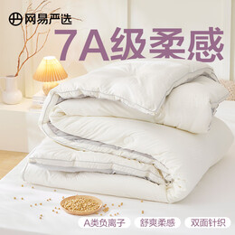 YANXUAN 網(wǎng)易嚴(yán)選 提花大豆春秋被芯被子加厚冬被7A級(jí)柔軟A類(lèi)抗菌床上用品學(xué)生宿舍 海鹽灰 200*230cm