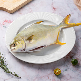 XIANGTAI 翔泰 二去金鯧魚 340g