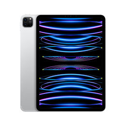 Apple/苹果 iPad Pro 11英寸平板电脑 2022年款(2TB 5G版/MNYY3CH/A)银色 WI-FI 蜂窝版