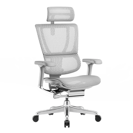 Ergonor 保友辦公家具 優(yōu) 人體工學(xué)電腦椅 灰色+銀白色 旗艦版