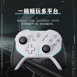 ThundeRobot 雷神 電競精英游戲手柄G50Pro類Xbox結構switch雙人成行老頭環(huán) G50 Pro 白色
