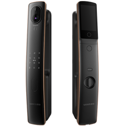 Lockin 鹿客 S50M pro 智能門鎖 琥珀金