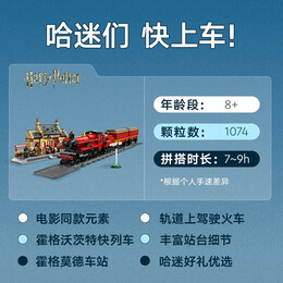 LEGO 樂高 Harry Potter哈利·波特系列 75969 霍格沃茨天文塔
