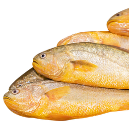 20點(diǎn)開始：鴻順 黃花魚4條4斤