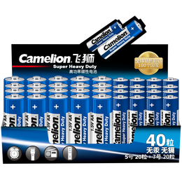 Camelion 飛獅 5號堿性電池 1.5V 20粒裝+7號堿性電池 1.5V 20粒裝