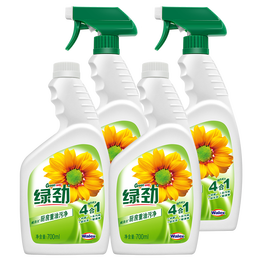 綠勁 廚房去重油污凈700ml*4瓶 油煙機(jī)清洗劑清潔劑