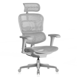 Ergonor 保友辦公家具 金豪B 人體工學(xué)電腦椅 黑色 美國網(wǎng)款 高配版