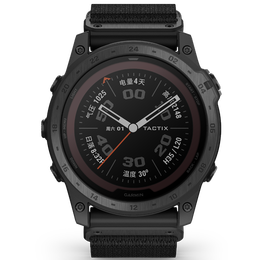 GARMIN 佳明 RDP 010-12520-10 跑步動態(tài)傳感器
