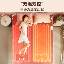 AIRMATE 艾美特 電熱毯 毛毯絨銀灰 雙人單控180*120cm
