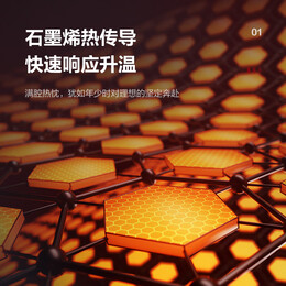 格力（GREE）【石墨烯取暖器】家电政府补贴取暖器家用电暖器电暖气暖风机踢脚线取暖器防水智能 NDJC-J6022B