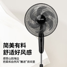 艾美特电风扇传统六叶家用风扇风力大立式落地扇摇头电扇1.2米高3档风速按钮低音风扇定时4.7KG超稳重 【3档风速+1h定时+4.7净重】传统6叶风扇