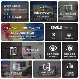 飞利浦（PHILIPS）31.5英寸 2K办公显示器 IPS PBP分屏 TUV低蓝光护眼 智能双芯 升降旋转 电脑显示器 325B1LN
