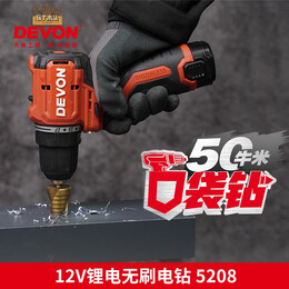 DEVON 大有 12V無刷鋰電鉆5208雙電2.0快充