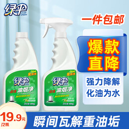 EVER GREEN 綠傘 油煙清洗劑廚房去重油500g*2瓶 免拆洗去油漬油污油煙凈 灶臺清潔 500g2瓶