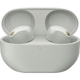 索尼（SONY）WF-1000XM5 蓝牙耳机真无线降噪耳机 运动入耳式 新款降噪豆5 1000XM4升级款 蓝牙5.3 铂金银 国行
