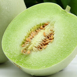初石山东冰淇淋玉菇甜瓜新鲜水果当季香瓜冰淇淋 拍2份合发一箱 玉菇甜瓜3 4.5斤装（净重4-4.25斤 2-3个）