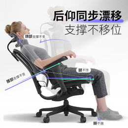 20點開始、家裝季：Ergonor 保友辦公家具 優(yōu)b雄鷹 人體工學(xué)電腦椅 銀白網(wǎng) 可旋轉(zhuǎn)可升降扶手