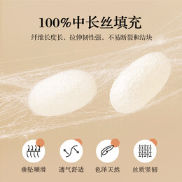 博洋（BEYOND）100%蚕丝被母婴A类春秋被子双人抑菌被芯全棉蚕丝夏凉被子母被 春秋被【母婴A+抑菌】素瑶 200*230cm