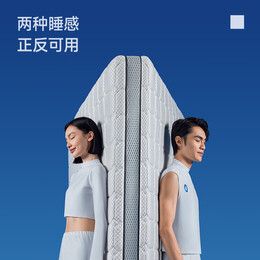 PLUS會(huì)員：MLILY 夢百合 朗怡0壓厚墊 1.5*2m