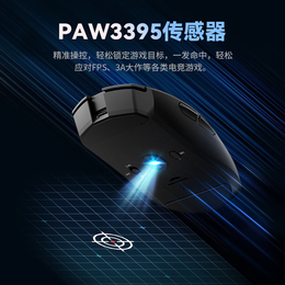 钛度【工厂直发】TSG808轻枚 无线电竞鼠标 3395芯片有线蓝牙三模2.4G 充电带板载26000DPI 黑神话悟空 旗舰款3395三模-白色无光（工厂直发正品保障）