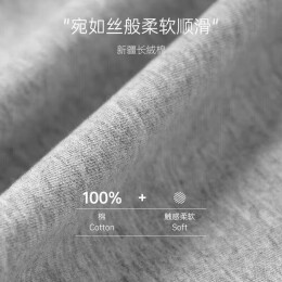 SEPTWOLVES 七匹狼 男士T恤 小白t 白色-圓領(lǐng)款 XL-175