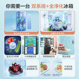 Ronshen 容聲 離子凈味系列 BCD-501WD18FP 風(fēng)冷十字對(duì)開(kāi)門(mén)冰箱 501L