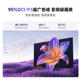Vidda 海信电视 R Pro 75 二级能效 75英寸 144Hz高刷 AI游戏液晶巨幕大屏电视机 75V1R-S 75英寸   R75升级款 75英寸
