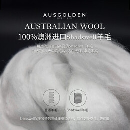 AUSGOLDEN澳洲100%纯羊毛被A类抗菌防螨单双人春秋被子加厚冬被被芯四季被 冬被加厚 被芯200*230cm（适1.5/1.8米床）