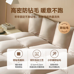 百丽丝水星家纺出品被子a类升级鹅毛蓬松保暖冬季被子被芯宿舍家用 抗菌鹅毛冬厚被 220cm×240cm